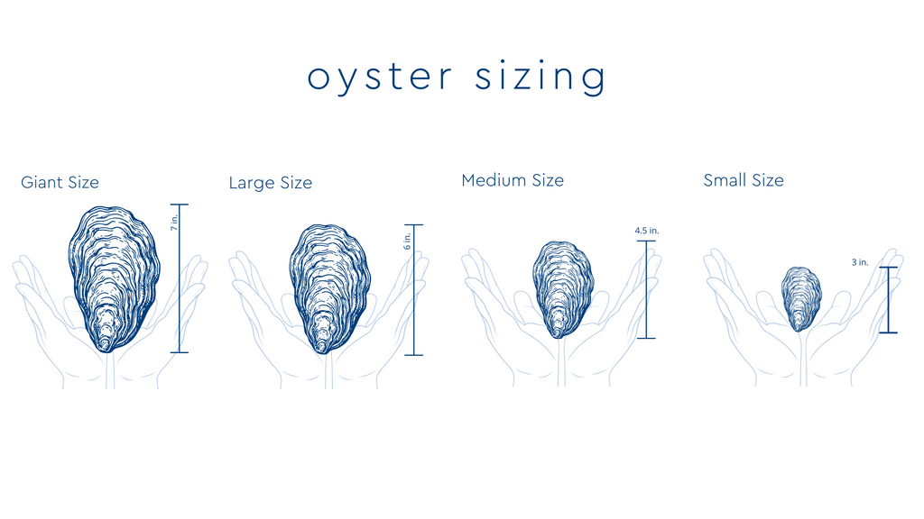 Ginger Jars | Shuck & Awe