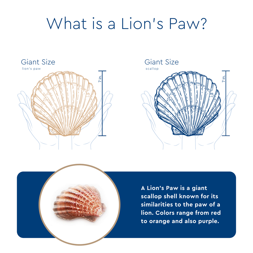 Fleur-De-Leah | Shuck & Awe