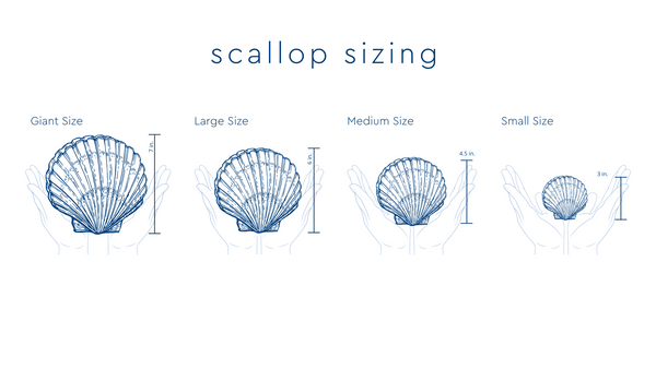 Lighthouse Outline in Blue | Shuck & Awe